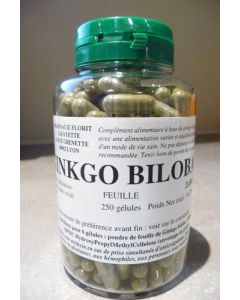 Florit Ginkgo biloba 250 gélules