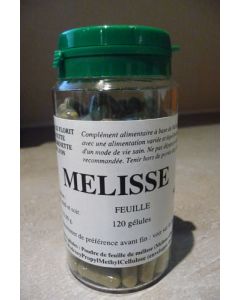 Florit Mélisse 120 gélules