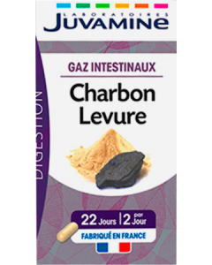 Juvamine Charbon Levure Gaz Intestinaux Gelule 120