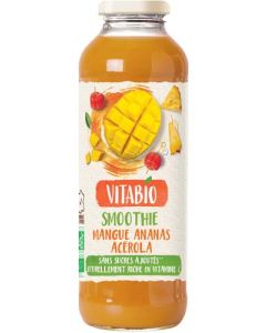 Vitabio  Smoothie - Mangue Ananas Acérola 50cl