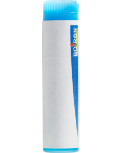 Boiron Influenzinum 9ch Dose 1g