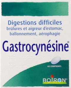 Gastrocynesine 60 comprimés