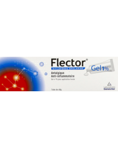 Flector 1% Gel Pour Application Locale 60g