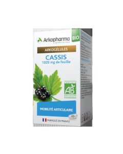 Arkopharma Arkogélules Bio Cassis 45 gélules
