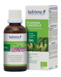 Ladrome Extrait De Plantes Fraiches Bio Plantain Lanceole 50ml