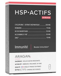 Aragan Synactifs Hsp Actifs 10 Gélules