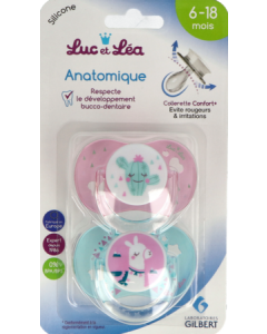 Luc et Léa Duo Sucettes Anatomiques 6-18 mois Lama/Cactus 