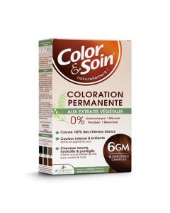 Color & Soin Coloration 6GM Blond Foncé Cannelle