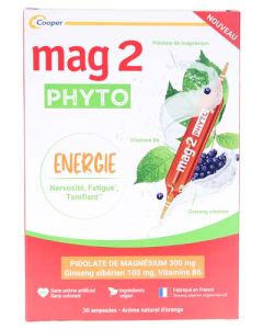 Mag 2 Ampoules Phyto Energie x15