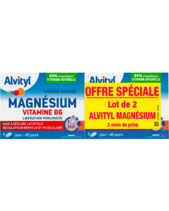 Alvityl Magnésium Vitamine B6 Comprime Libération Prolongée 45 X2