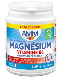 Alvityl Magnésium Vitamine B6 x120