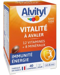 Alvityl Vitalité à Avaler Comprimés x40