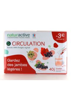 Naturactive Circulation Stick Fluide 2x20 sticks