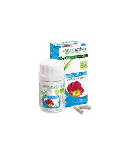 Naturactive Harpagophyton Bio 60 gélules