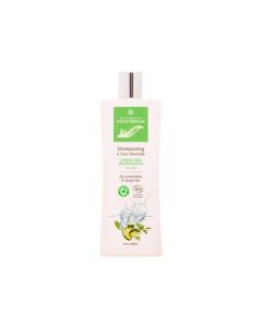 Montbrun Shampooing Bio Pour Cheveux Gras 
