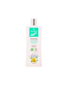 Montbrun Shampooing Bio Antipelliculaire 