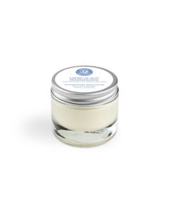 Graine de Pastel Crème de Nuit Régénérante  50ml