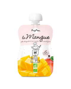 Popote Gourde Mangue Bio 120g