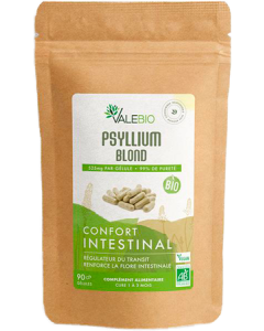 Valebio Psyllium Blond Confort Intestinal Gélules x90
