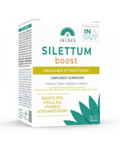 Silettum Boost Boite de 60 gélules