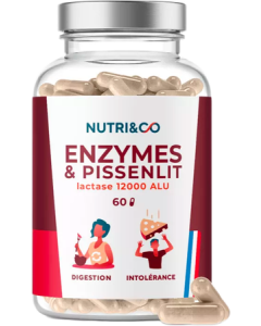 Nutri&Co Enzymes Pissenlit Gélules x60