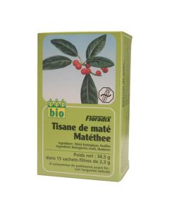 Salus Tisane Floradix Maté AB 15 sachets