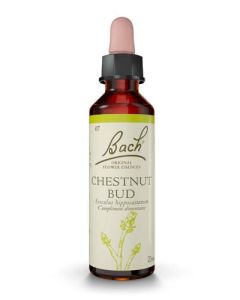 Famadem Fleur de Bach Original® Chestnut Bud / Bourgeons de marronnier / Aesculus hippocastan 20ml