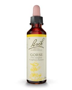 Famadem Fleur de Bach Original® Gorse / Ajonc / Ulex europaeus 20ml