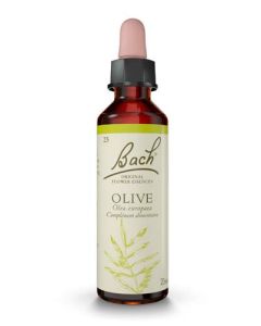 Famadem Fleur de Bach Original® Olive / Olivier / Olea europaea 20ml