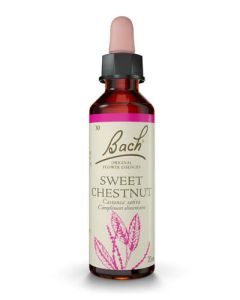 Famadem Fleur de Bach Original® Sweet chestnut / Châtaignier / Castanea sativa 20ml