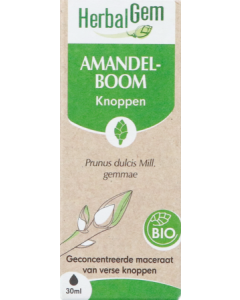 Herbalgem Amandier Bourgeon Macerat Glyc Bio 30ml
