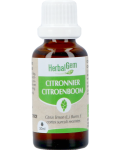 Herbalgem Citronnier Bourgeon Macerat Gly Bio 30ml