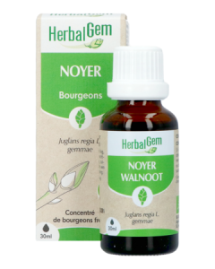Herbalgem Noyer Bourgeon Macerat Glycerin Bio 30ml