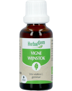 Herbalgem Vigne Bourgeon Macerat Glycerin Bio 30ml