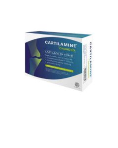 E-Sciences Cartilamine Chondro Articulation Boite de 60 capsules