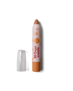 Erborian BB Crayon Correcteur Doré 3g