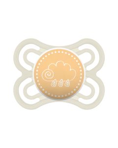 MAM Sucette Perfect de 2 à 6 mois Décor - Lot de 2 - Silicone - Boite Stérilisation