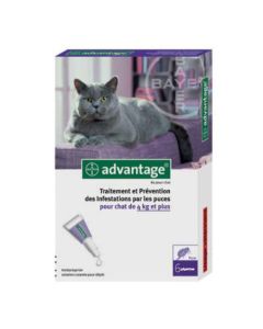 Advantage 80 Solution Antipuce pour Chats 4kg et + - 6 Pipettes