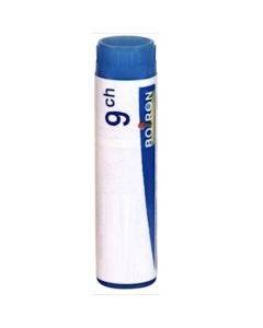 Boiron Harpagophytum 9CH Dose