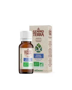 Gemmo Terra Fatigue Oculaire Bio 30 ml