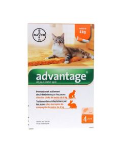 Bayer Advantage 40 Solution Antipuce Pour Chat et Lapin de 4kg + 4 Pipettes