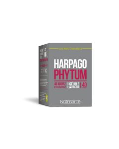 Nutrisanté Harpagophytum 40 Gélules