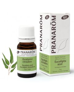 Pranarôm Huile Essentielle Bio Eucalyptus Citronné 10ml