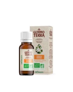 Gemmo Terra Tonus & Énergie Bio 30 ml