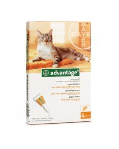 Advantage 40 Solution Anti-Parasitaires pour Chats 6 Pipettes