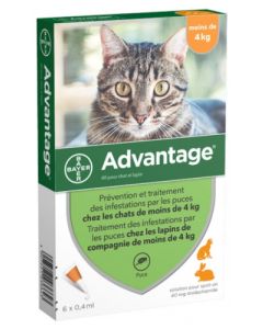 Advantage 40 Solution Anti-Puces pour Chat et Lapin 6 Pipettes