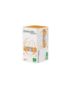 Tisane Détox 20 Infusettes Bio