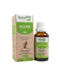 Herbalgem Bio Figuier 30ml