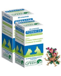 Greenvet Pernacox Spécial Articulations Chat et Chien 30 Comprimés